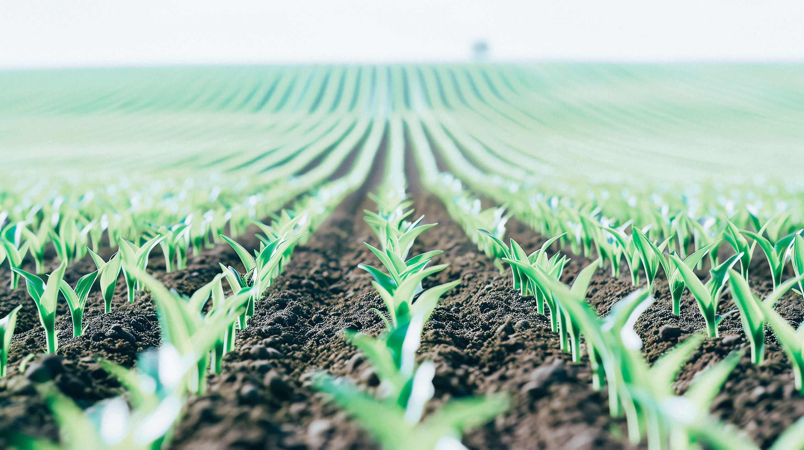 Agricultural